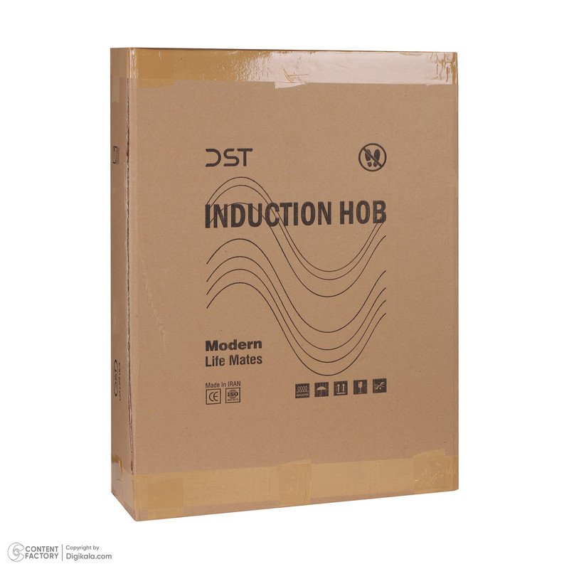 اجاق گاز برقی دو شعله دی اس تی مدل القایی I2H-01 - Image 11