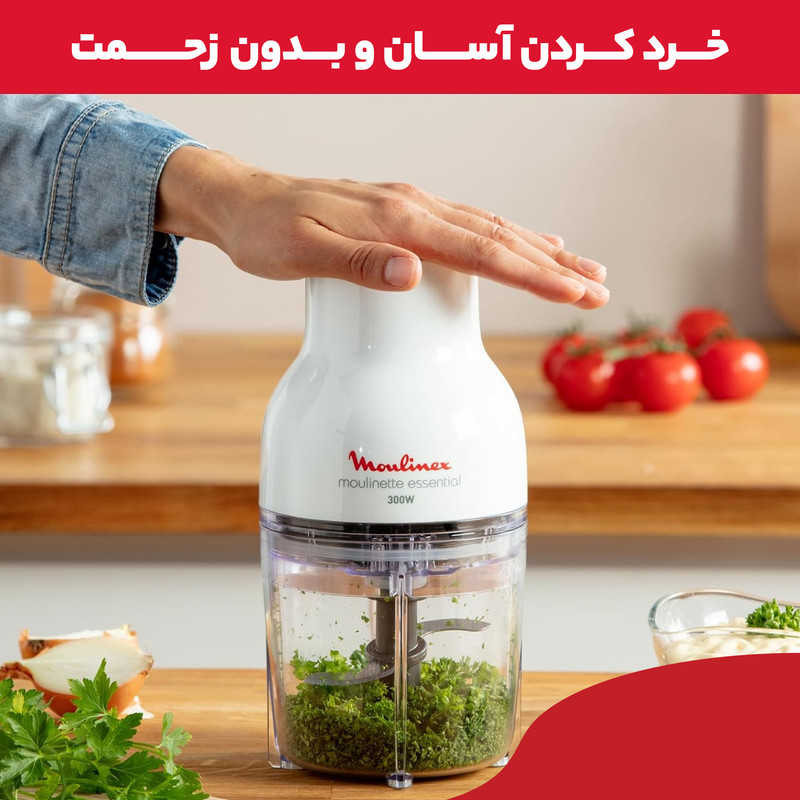 خردکن 0.4 لیتری مولینکس مدل dj520 - Image 10