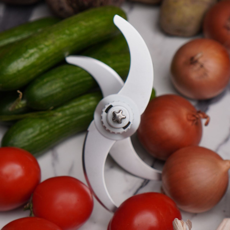 خردکن هیملر مدل HCH-2045 - Image 5