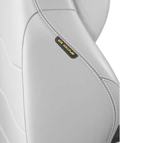 صندلی گیمینگ دی ایکس ریسر مدل Master 2025 - Image 5