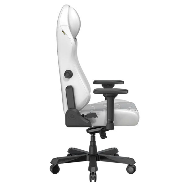 صندلی گیمینگ دی ایکس ریسر مدل Master 2025 - Image 2