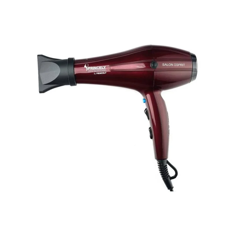 سشوار حرفه ای پرنسلی مدل PR250AT - Image 3